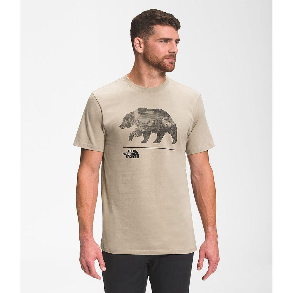 The North Face Bearscape Κοντό Μανίκι Ανδρικα T Shirt - Χακί (APFQ85604)